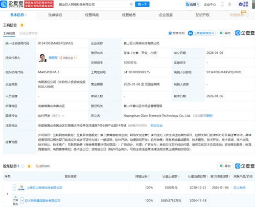 巨人網絡成立新公司，深化布局互聯網游戲與信息服務業務